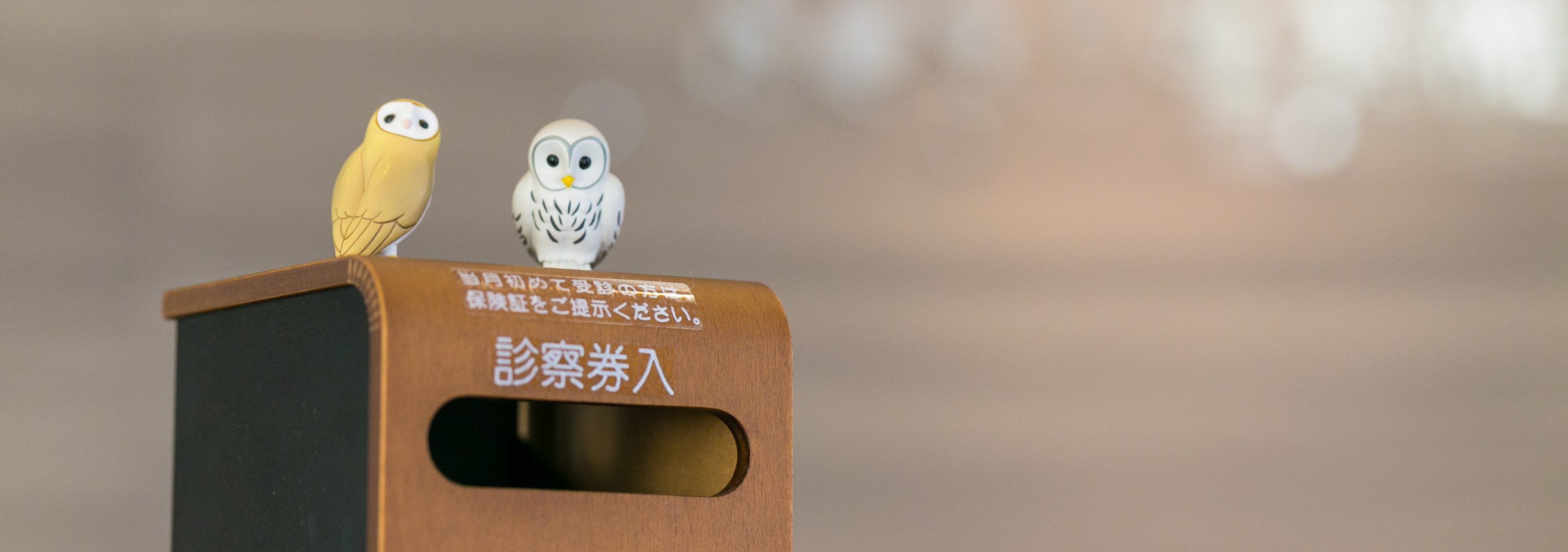 各種健康保険の取り扱い